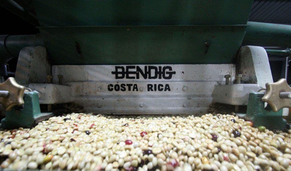 coffee-processing