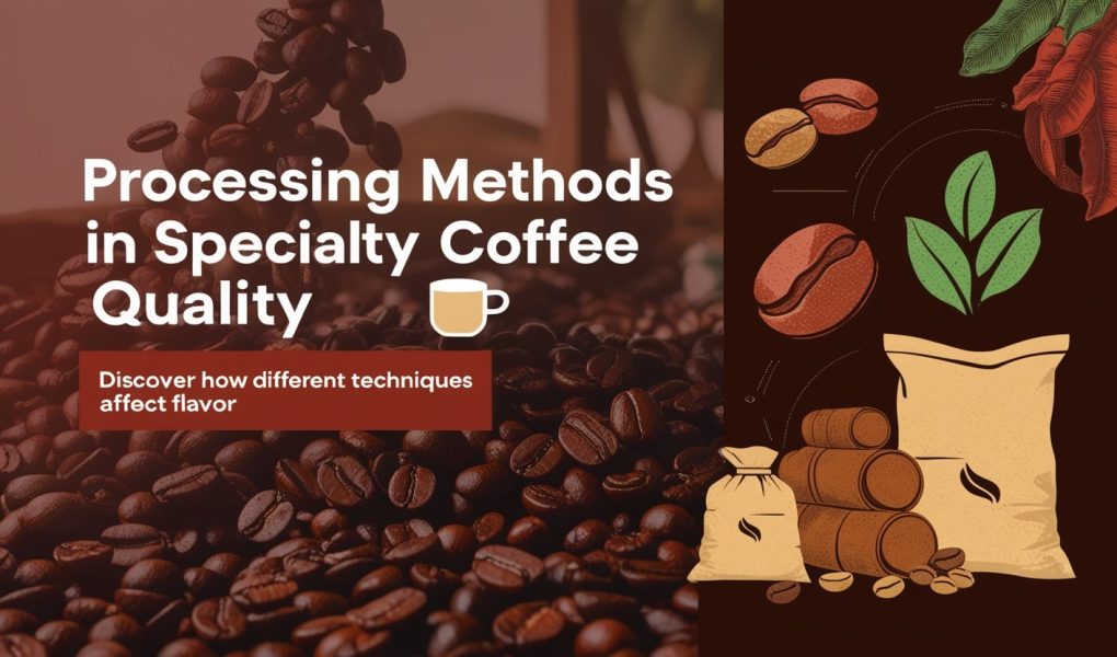 processing-methods-specialty-coffee