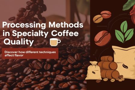 processing-methods-specialty-coffee