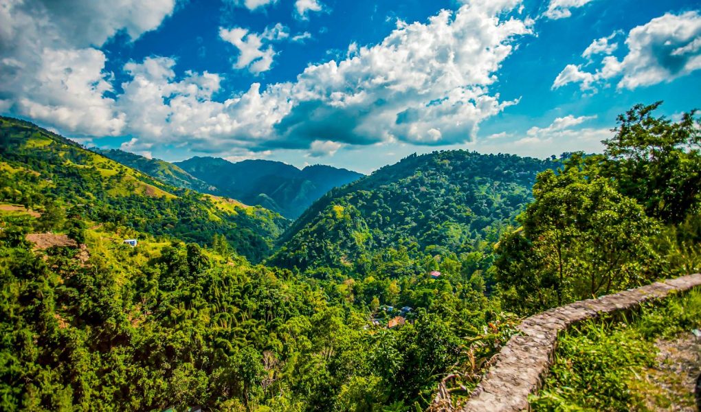 jamaica-blue-mountain