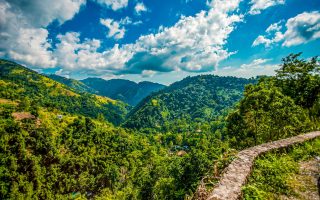 jamaica-blue-mountain