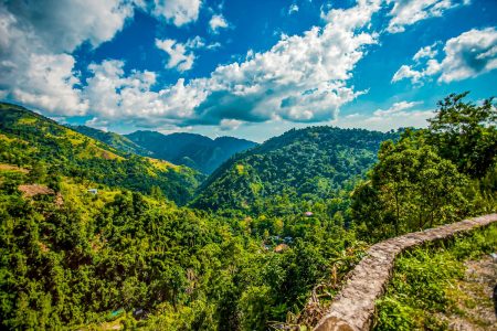 jamaica-blue-mountain