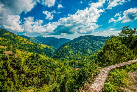 jamaica-blue-mountain